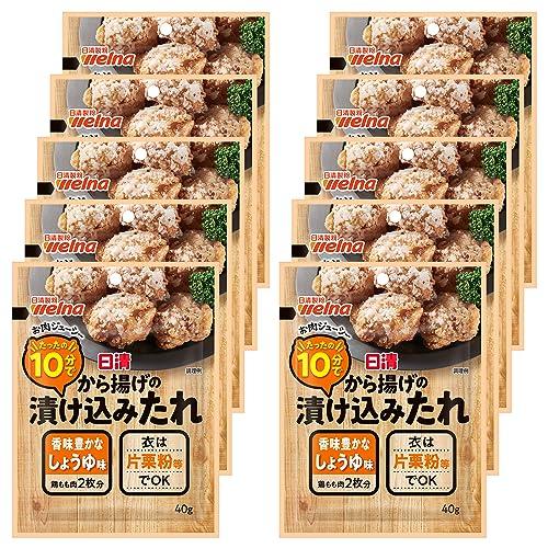 日清製粉ウェルナ から揚げの漬け込みたれ しょうゆ味 40g ×10個