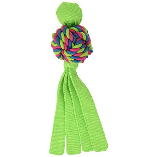 Kongコング デンタルウァバ ライムグリーン