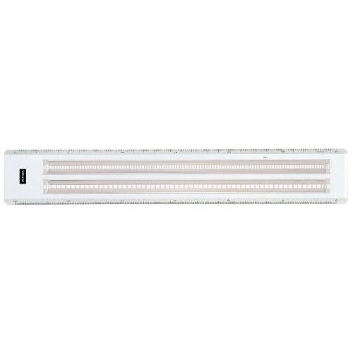 ウチダ 点線スケール 30cm×5mm 1-807-0140