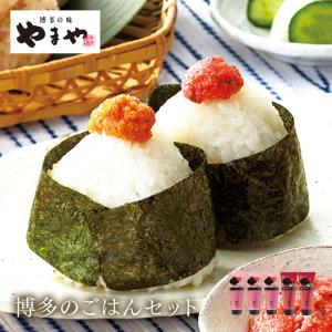 やまや めんたいチューブ 博多のごはん5本セット