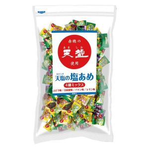 ☆ご好評につき完売致しました☆天塩の塩あめ 業務用 ４種ミックス（１kg×10袋入り）１箱 【送料無料(※北海道・沖縄・離島除く)】【E区分】｜e-shop-selection