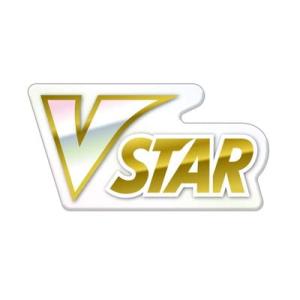 ポケモンカードゲーム プレミアムVSTARマーカー｜e-shopkokorozasi1017