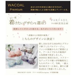 ワコール プレミアム 20シリーズ ブラジャー...の詳細画像1