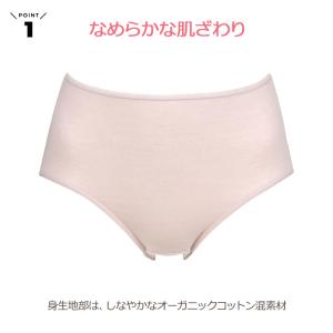 ウイング ショーツ オーガニックコットン ふか...の詳細画像1