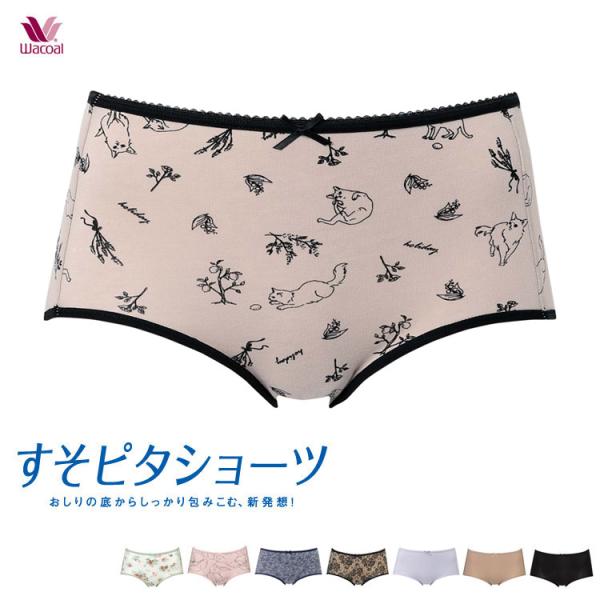 ワコール ショーツ すそピタショーツ 綿混 ML ふつう PPD245 PPB550替