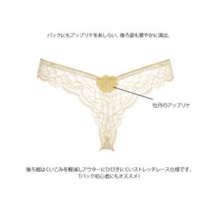ワコール サルート 03 Tバックショーツ P...の詳細画像3