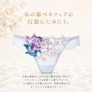 ワコール サルート 36G Tバックショーツ ...の詳細画像2