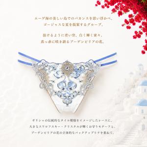 ワコール サルート 42G ソング PTJ44...の詳細画像3