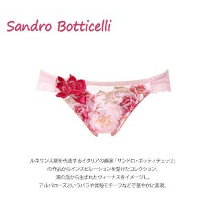 ワコール サルート 26G ショーツ スタンダ...の詳細画像3