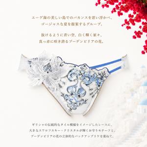 ワコール サルート 42G ショーツ PTJ7...の詳細画像3