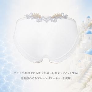 ワコール サルート 42G ショーツ PTJ7...の詳細画像4