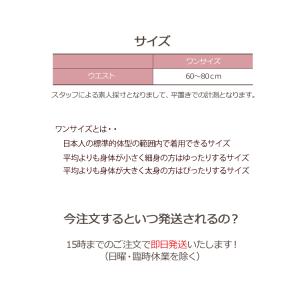 Tバック ショーツ レディース tバッグ 下着...の詳細画像5
