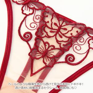 Tバック ショーツ レディース tばック セク...の詳細画像4