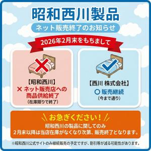 【BONUSポイント対象】マットレス シングル...の詳細画像1