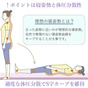 西川 フェスタ2 マットレス 三つ折り シング...の詳細画像2