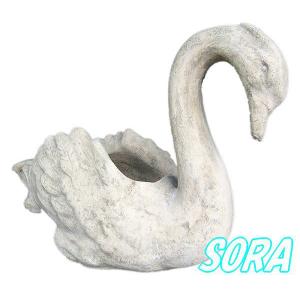 白鳥の宴｜e-sora