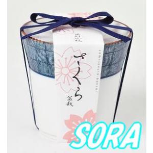 染付小紋盆栽栽培セット　桜｜e-sora