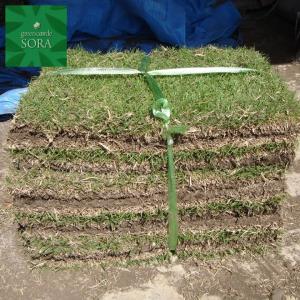 Ju Sora Soraの姫高麗芝 10平米 Ju ならショッピング ランキングや口コミも豊富なネット通販 更にお得なpaypay残高も スマホアプリも充実で毎日どこからでも気になる商品をその場でお求めいただけます 花 ガーデニング 10平米 姫高麗芝 21年新作