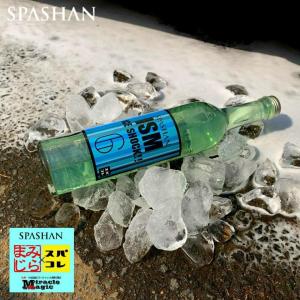 ガラスコーティング 車 シャンプー 洗車 ガラスコーティング剤 SPASHAN スパシャン ISM ICE SHOCK イズム アイスショック