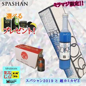 スパシャン SPASHAN 2019S 超カミカゼ３ 選べるプレゼント ガラスコーティング セット商品｜e-sora