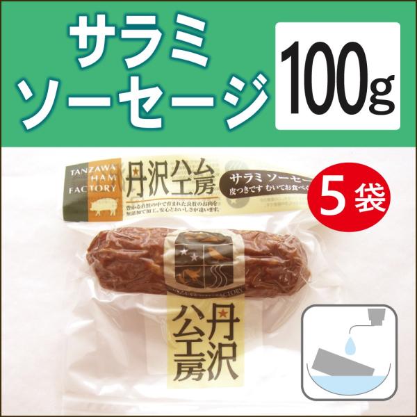無添加惣菜 サラミ 丹沢高原豚 サラミソーセージ 100g×5パック 送料無料
