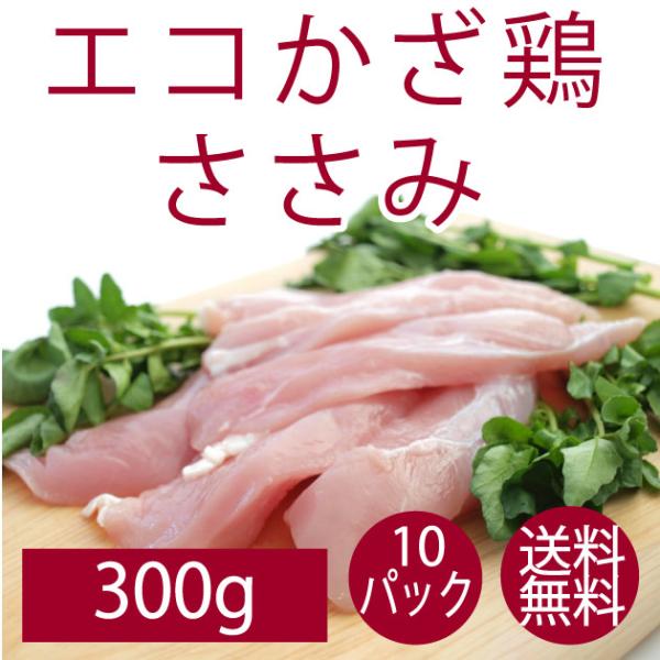 鶏肉 国産  食品 千葉県産 エコかざ鶏　ささみ 300g 10パック  送料無料