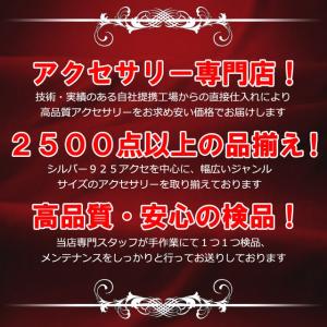 ステンレスペンダント メンズ ダブル ホロスコ...の詳細画像4