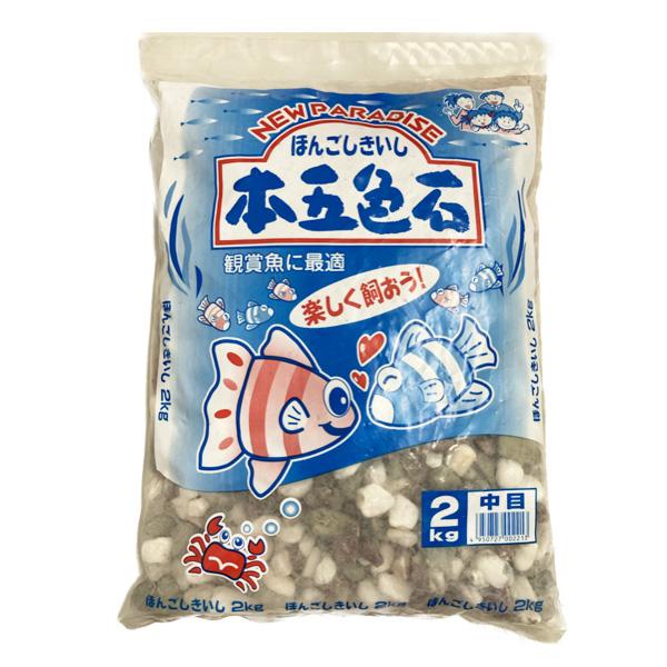 訳あり ペットグッズ 新胡産業 本五色石 中目 観賞魚用底砂 2kg