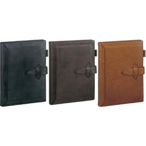 ダ・ヴィンチ 【限定品・送料無料(本州のみ)♪】レイメイ藤井 DSA1197