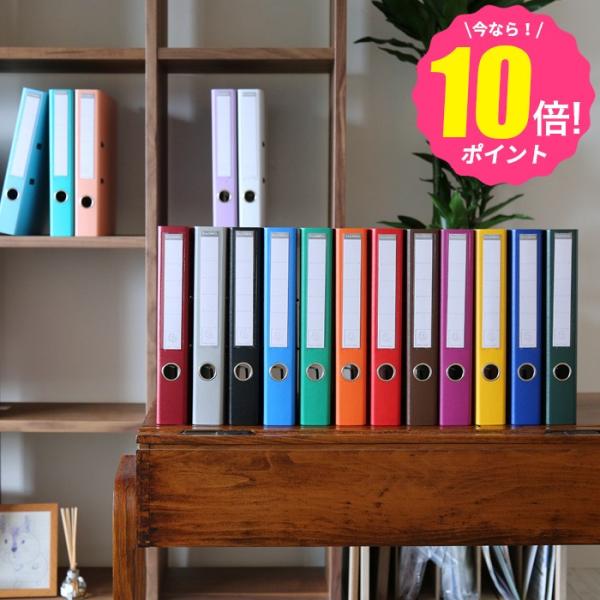 エグザコンタ ファイル レバーアーチファイル A4 2穴 タテ型 背幅50mm