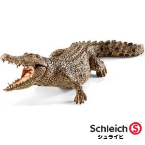 シュライヒ 動物フィギュア ワニ 14736【Schleich 動物 フィギュア おもちゃ プレゼント インテリア ギフト】｜e-stationery-fujioka