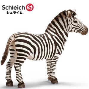 シュライヒ 動物フィギュア シマウマ オス 14391【Schleich 動物 フィギュア おしゃれ おもちゃ プレゼント インテリア ギフト】｜e-stationery-fujioka