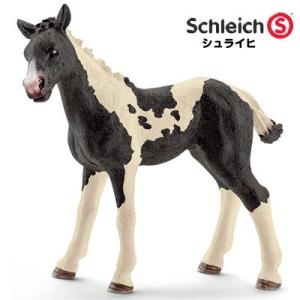 シュライヒ 動物フィギュア ピント馬 仔 13803【Schleich 動物 フィギュア 馬 ウマ ...