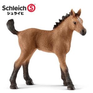 シュライヒ 動物フィギュア クォーター馬 （仔） 13854【Schleich 動物 フィギュア 馬...