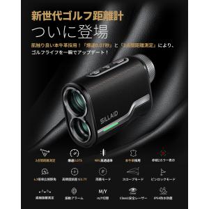 在庫処分セール 本牛革製・赤緑表示 SILLA...の詳細画像1
