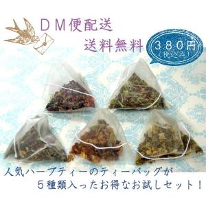 【レビューを書いて送料無料】【単独発送(同梱不可)】【カード決済限定】e-ティザーヌ の美味しいハーブティーを知って欲しいセット