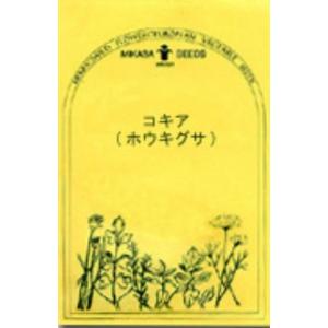 コキア・(ホウキグサ)／西洋野菜の種