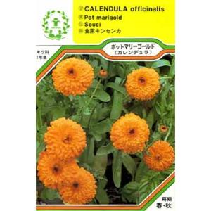 ハーブ ポットマリーゴールド 種 種子 の商品一覧 花 ガーデニング 通販 Yahoo ショッピング