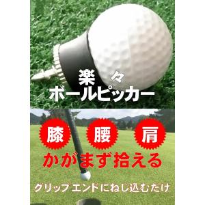 送料無料 ゴルフ ボールピッカー パター グリップ用 吸盤｜e-tokusenbin