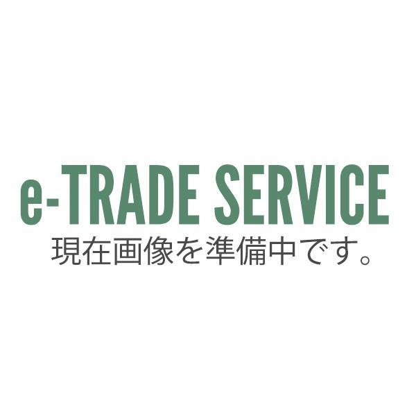 NORDISK (ノルディスク)  Faxe4 SI ファクシー4 [4人用] A型 テント