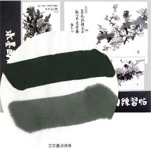 水墨画用紙 墨運堂 水墨画練習帳 小 Ｆ４ 50枚入 (24637)