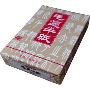 書道用紙 半紙 漢字用 中国半紙 毛辺 (A) M401 1000枚包み