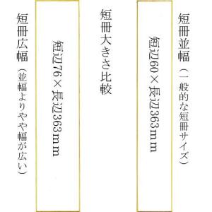 短冊 広幅タトウ紙新雲竜台入0475 (607...の詳細画像1