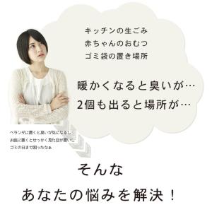 ゴミ箱 屋外 ベランダ 大容量 トラッシュコン...の詳細画像2