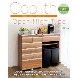 キッチンカウンター ダストボックス ステンレス...の詳細画像1