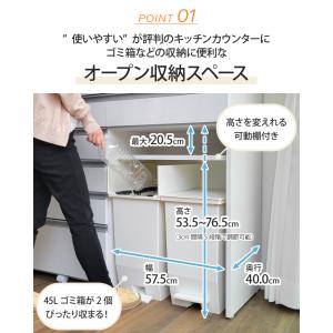 キッチンカウンター ダストボックス ステンレス...の詳細画像3