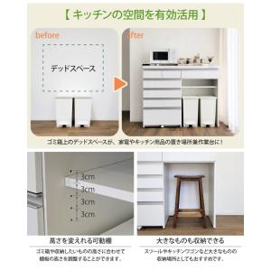 キッチンカウンター ダストボックス ステンレス...の詳細画像4