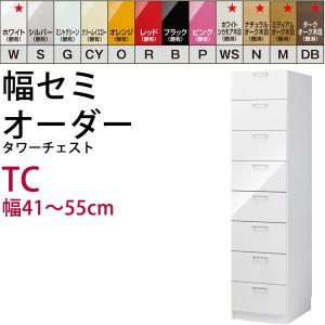 すき間収納 クローゼット 鏡面 すきま君 すきまくん WSK 日本製 完成品  開梱設置料込み｜e-unit