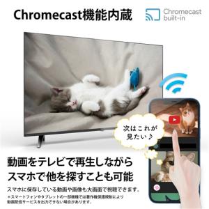 KEIYO RCA-43N1 チューナーレステ...の詳細画像2
