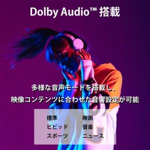 KEIYO RCA-43N1 チューナーレステ...の詳細画像5